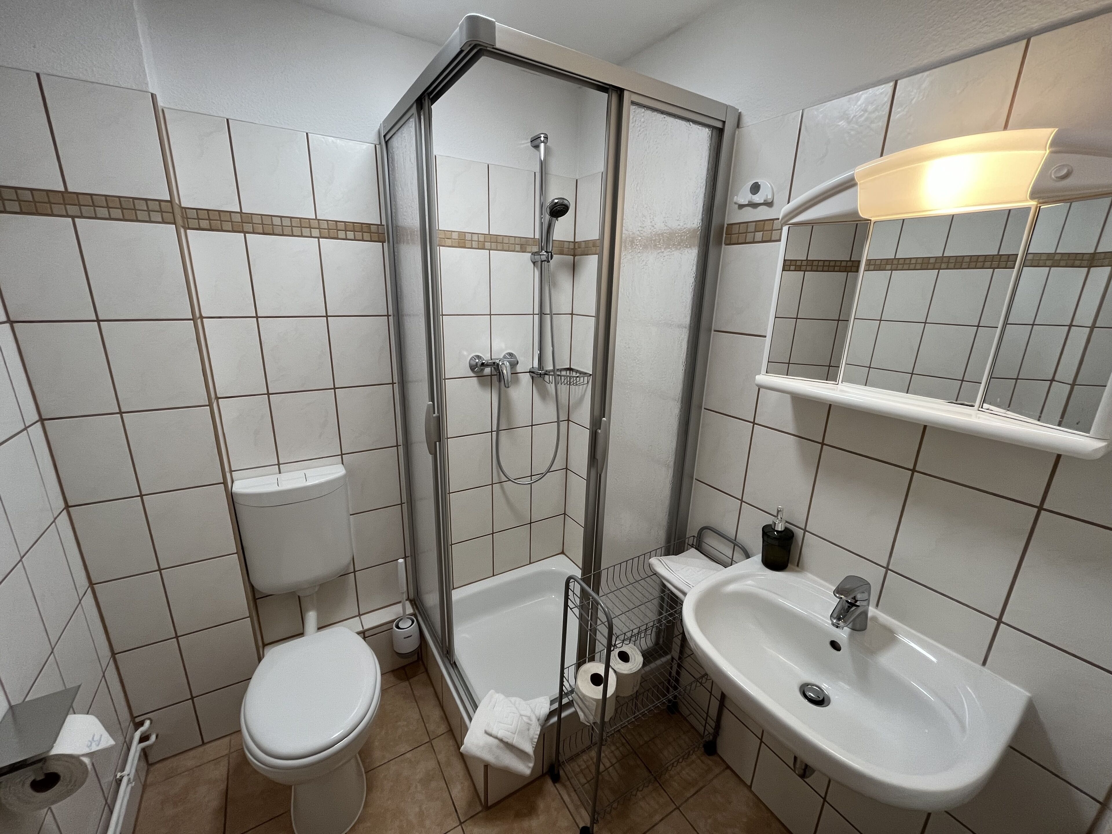Un baño con ducha, inodoro, lavabo y espejo.
