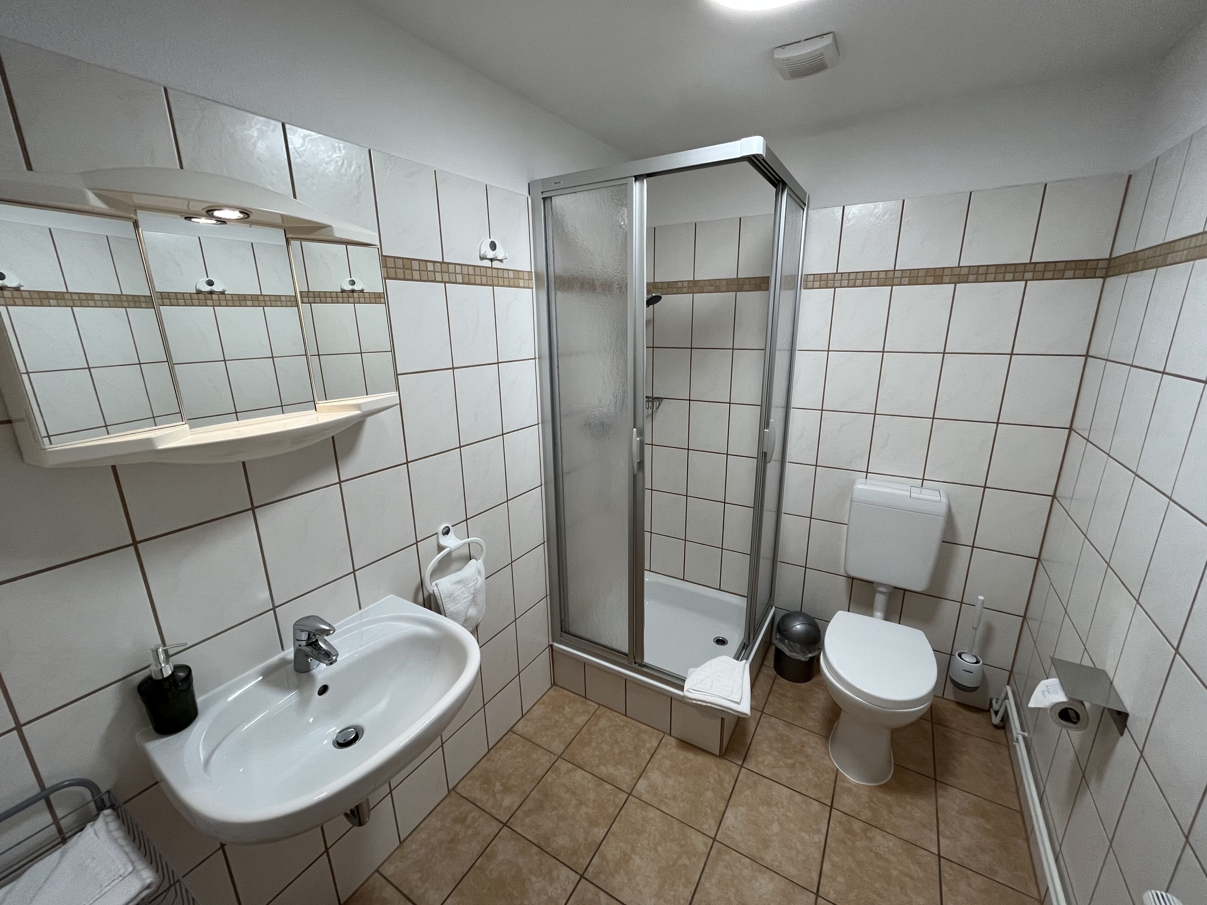 Une salle de bain avec un lavabo, des toilettes et une douche.