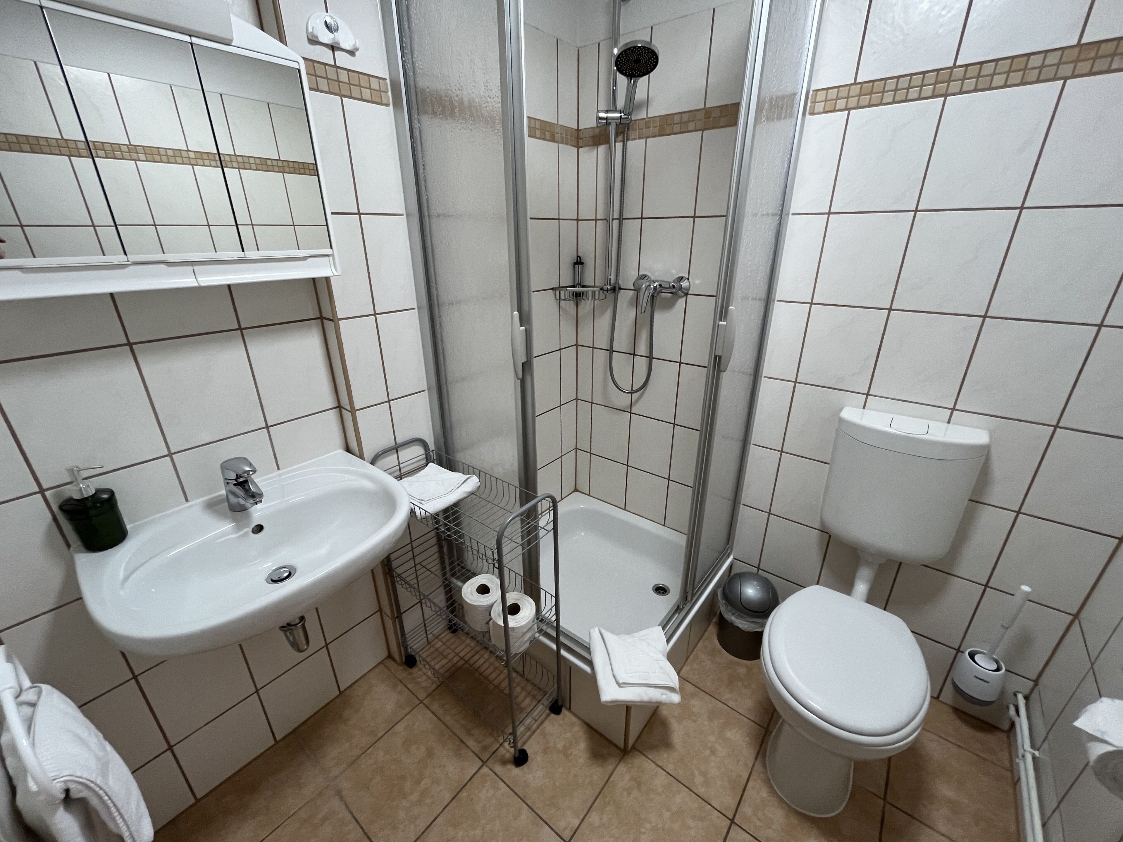 A bathroom with a shower, toilet, sink, and a towel rack.
