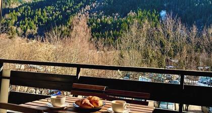 Studio Premium âą Tour du Mont-Blanc âą Piscine âą Vue DĂŽme de Miage