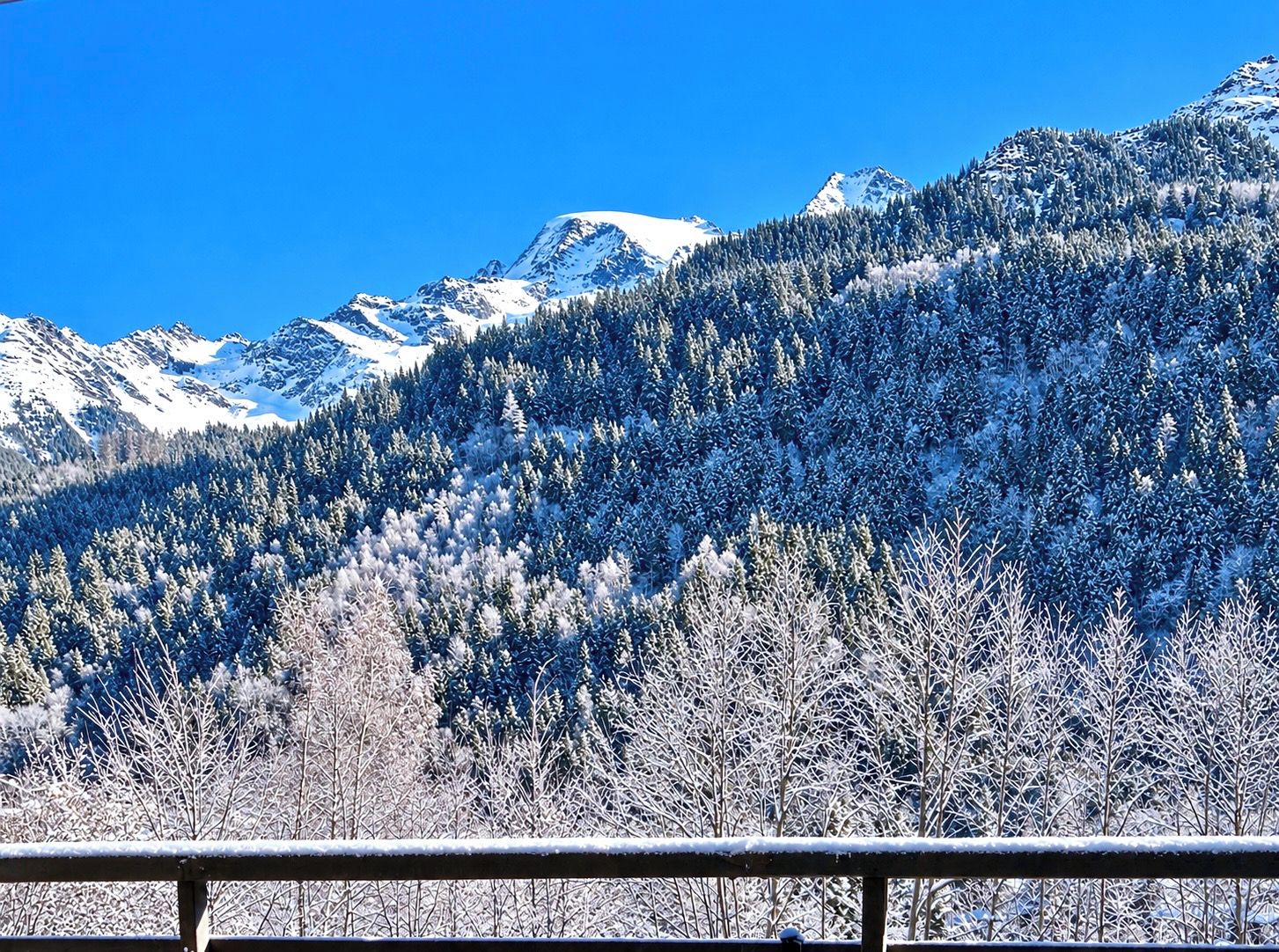 A mountain landscape with snow-covered trees and a clear sky.