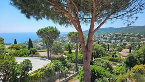 Un sendero bordeado de árboles que conduce a un mirador con vistas a un pueblo costero y al mar.