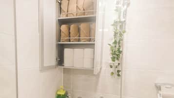 Shower, hair dryer, towels, shampoo