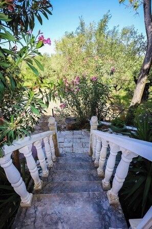 Property grounds - Charming Country House, Just Steps from Everything (Kiparissia)