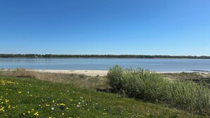 Vista despejada de un lago con una playa arenosa y zonas cubiertas de césped y flores amarillas.