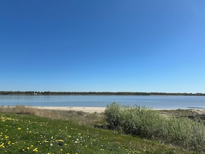 A clear view of a lake with a sandy beach and grassy areas with yellow flowers.