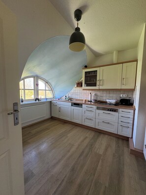 Fridge, oven, stovetop, dishwasher - Thatched monument on the Elbe beach (Stade)
