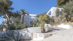 Un edificio blanco con techo inclinado, rodeado de palmeras y cactus.