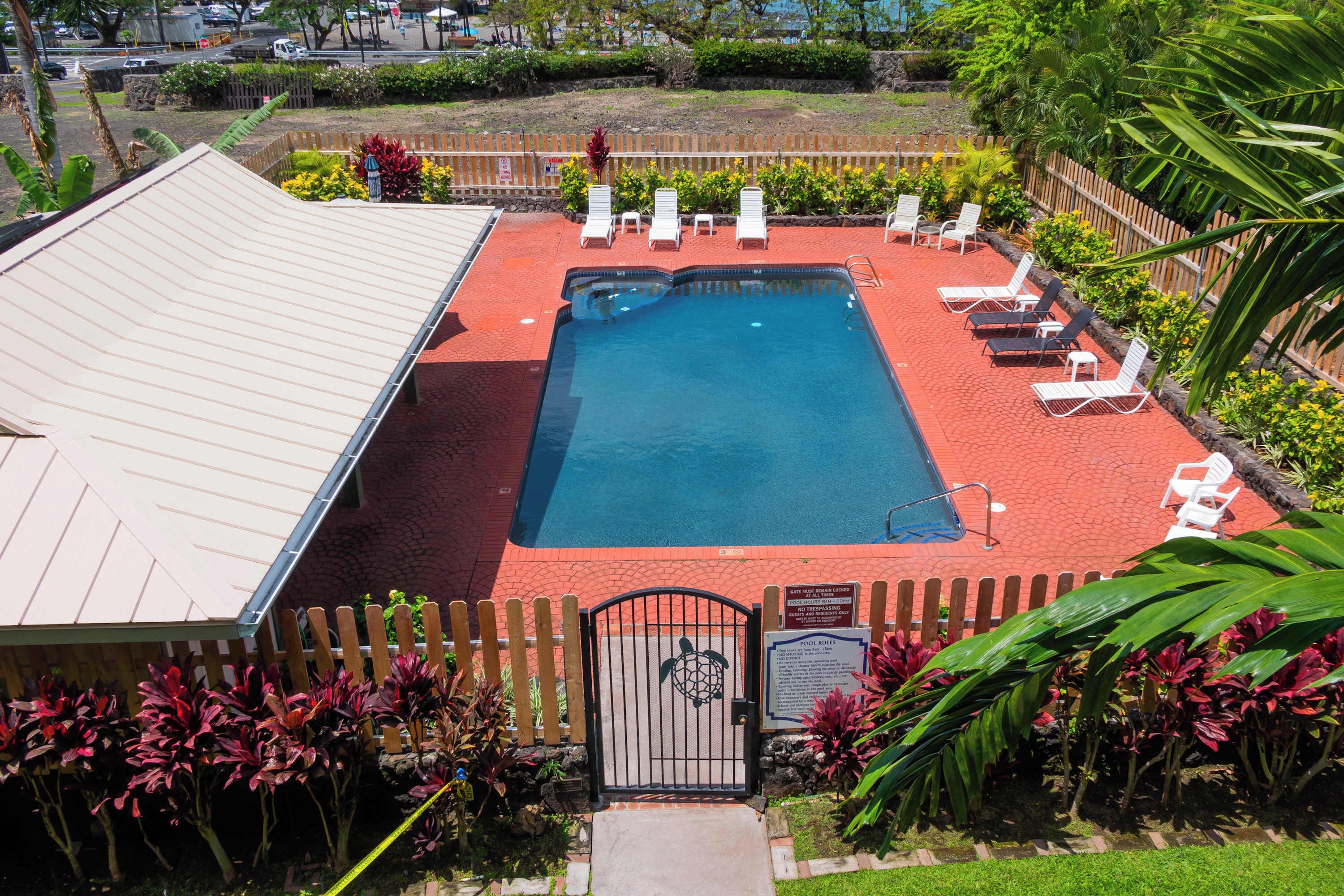 A swimming pool with lounge chairs, a fenced area, and a gate with a tropical design.