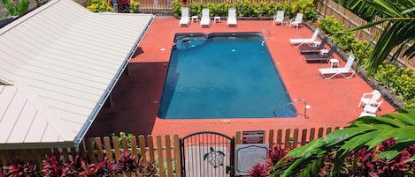 A swimming pool with lounge chairs, a fenced area, and a gate with a tropical design.