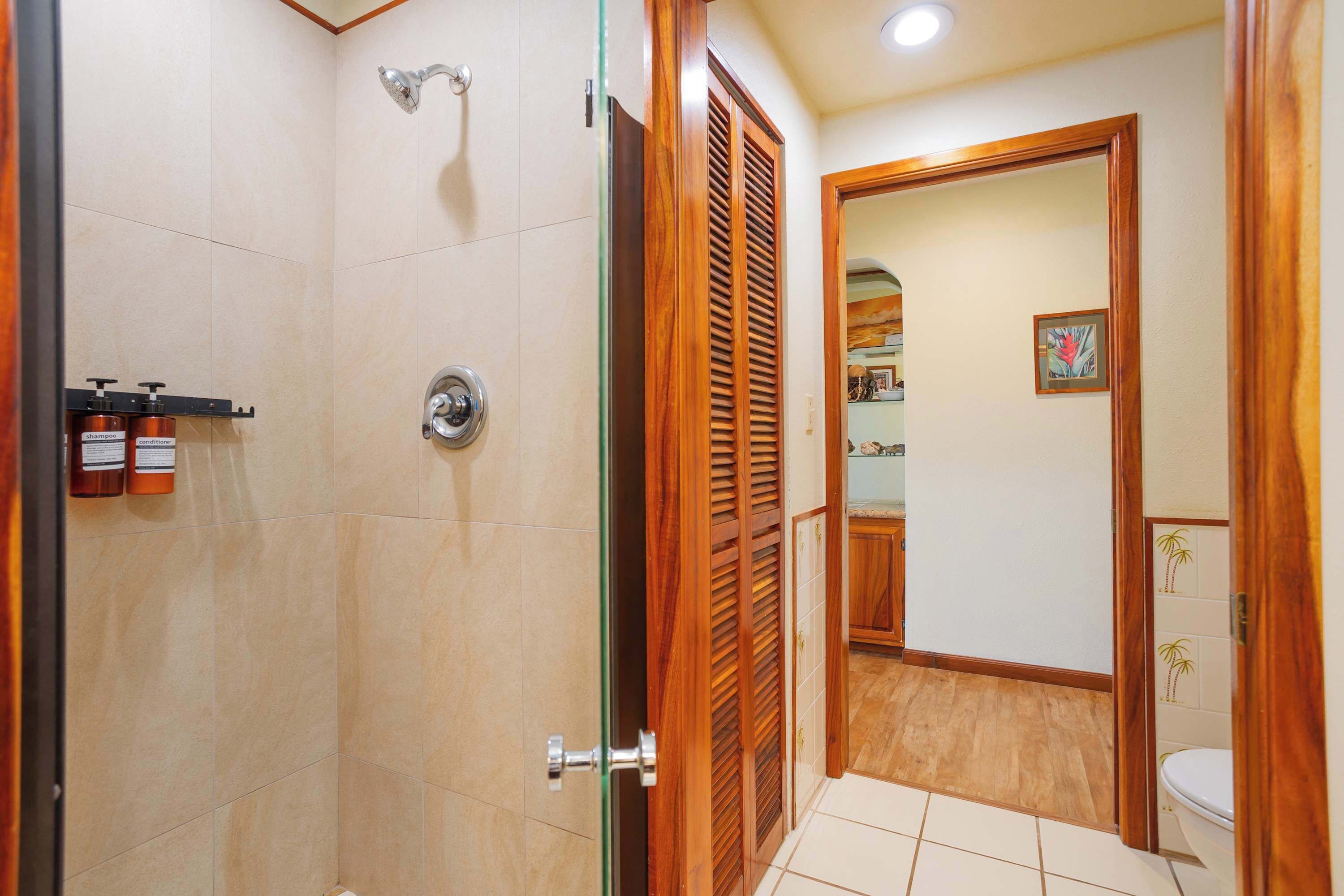 A bathroom with a shower, toilet, and wooden door.