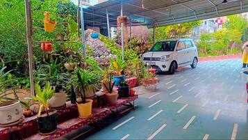 Park view