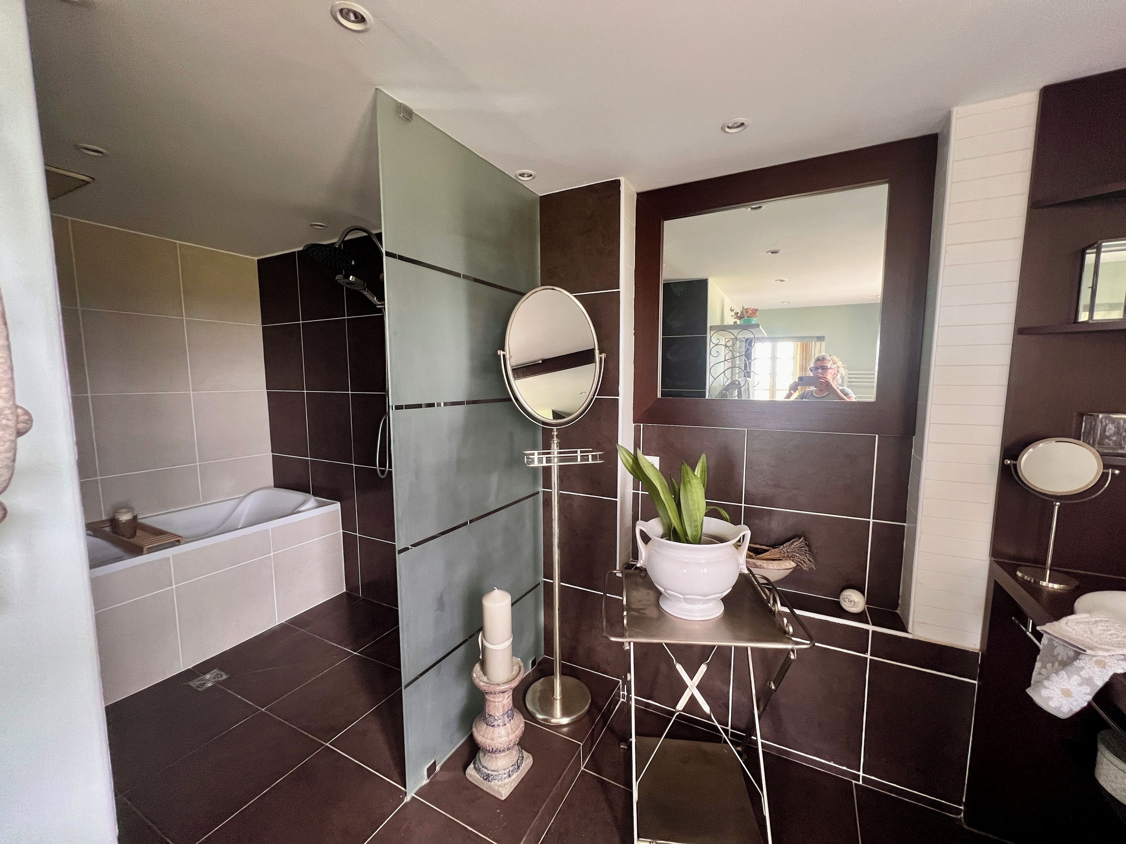 Une salle de bain moderne avec une baignoire, un grand miroir et une plante en pot.