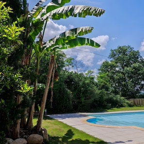 A backyard with a swimming pool, lush greenery, and a banana tree. - Gîte Fleur De Pastel – 4 Épis – Private Pool, Terrace & Wi-Fi (Saint-Genest-de-Contest)