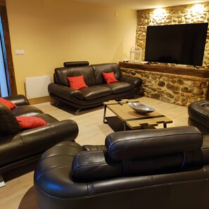 TV, fireplace, table tennis, stereo