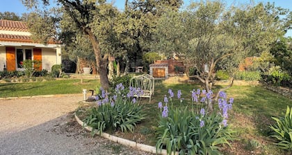 House in the Hérault and Buèges Valley, swimming pool. River, Canoe, Hiking, Caves.