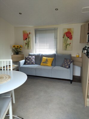 TV, ping pong - MOBILE-HOME 38M² - 2 BEDROOMS - SLEEPS 4 (Combourg)