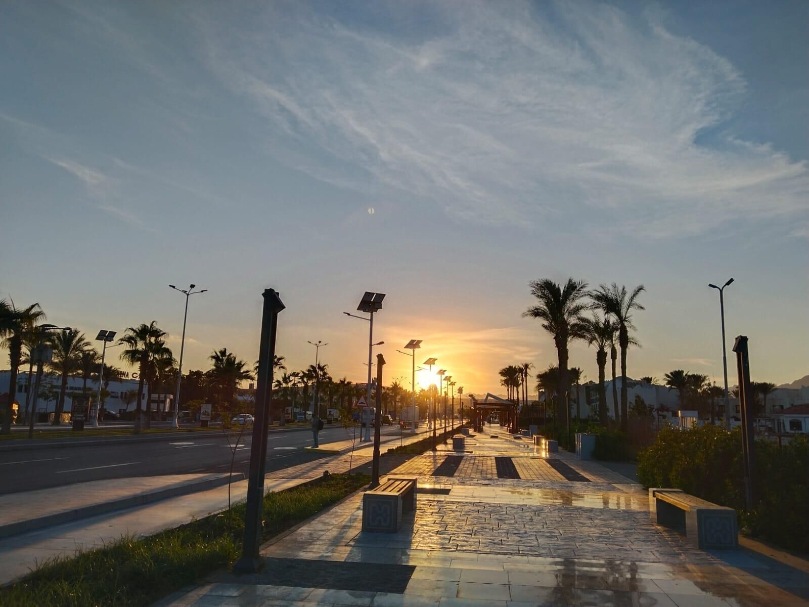 A paved walkway with benches, street lamps, and palm trees.