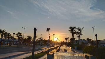 A paved walkway with benches, street lamps, and palm trees.