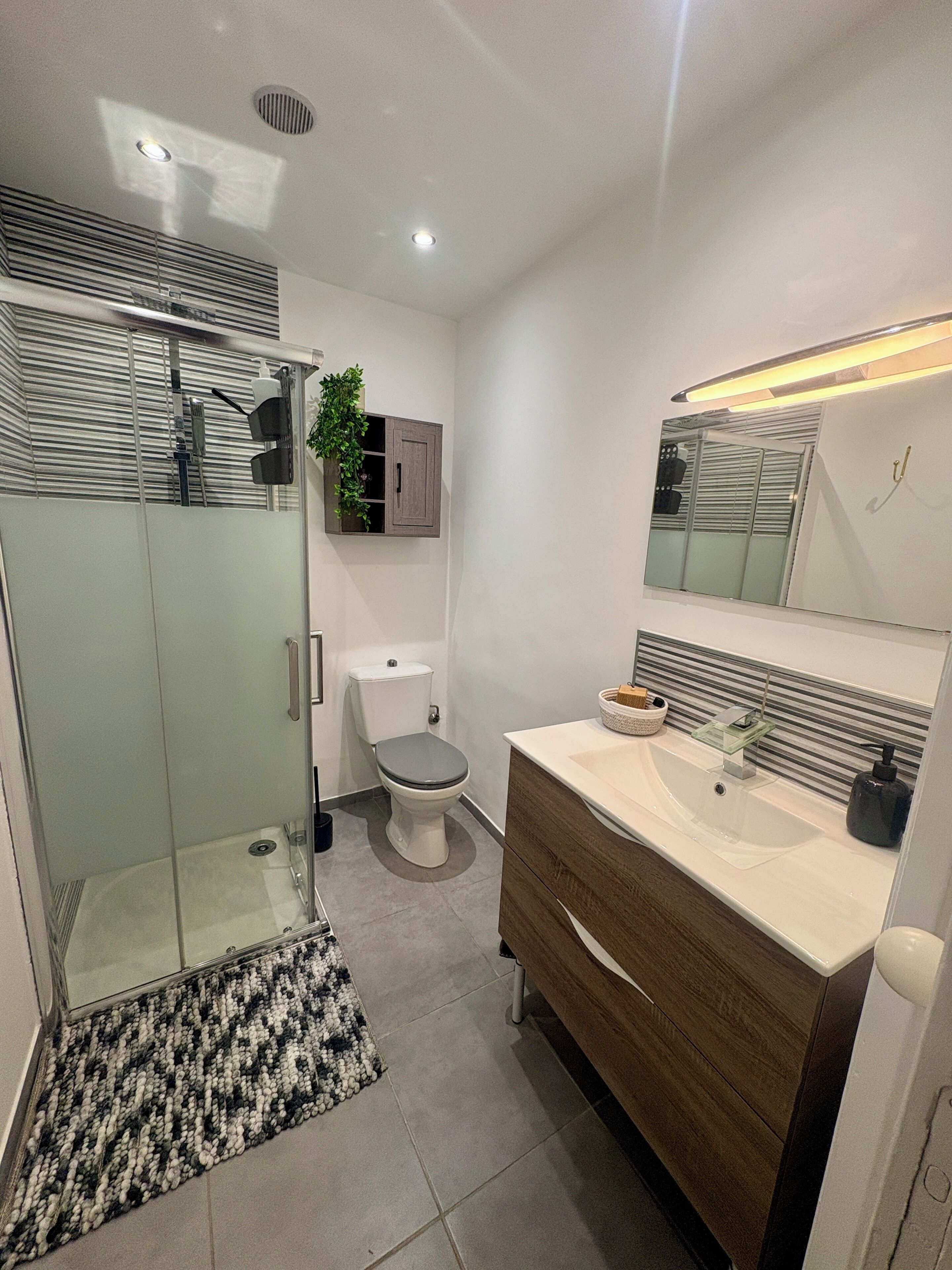 Hair dryer, towels, soap, toilet paper