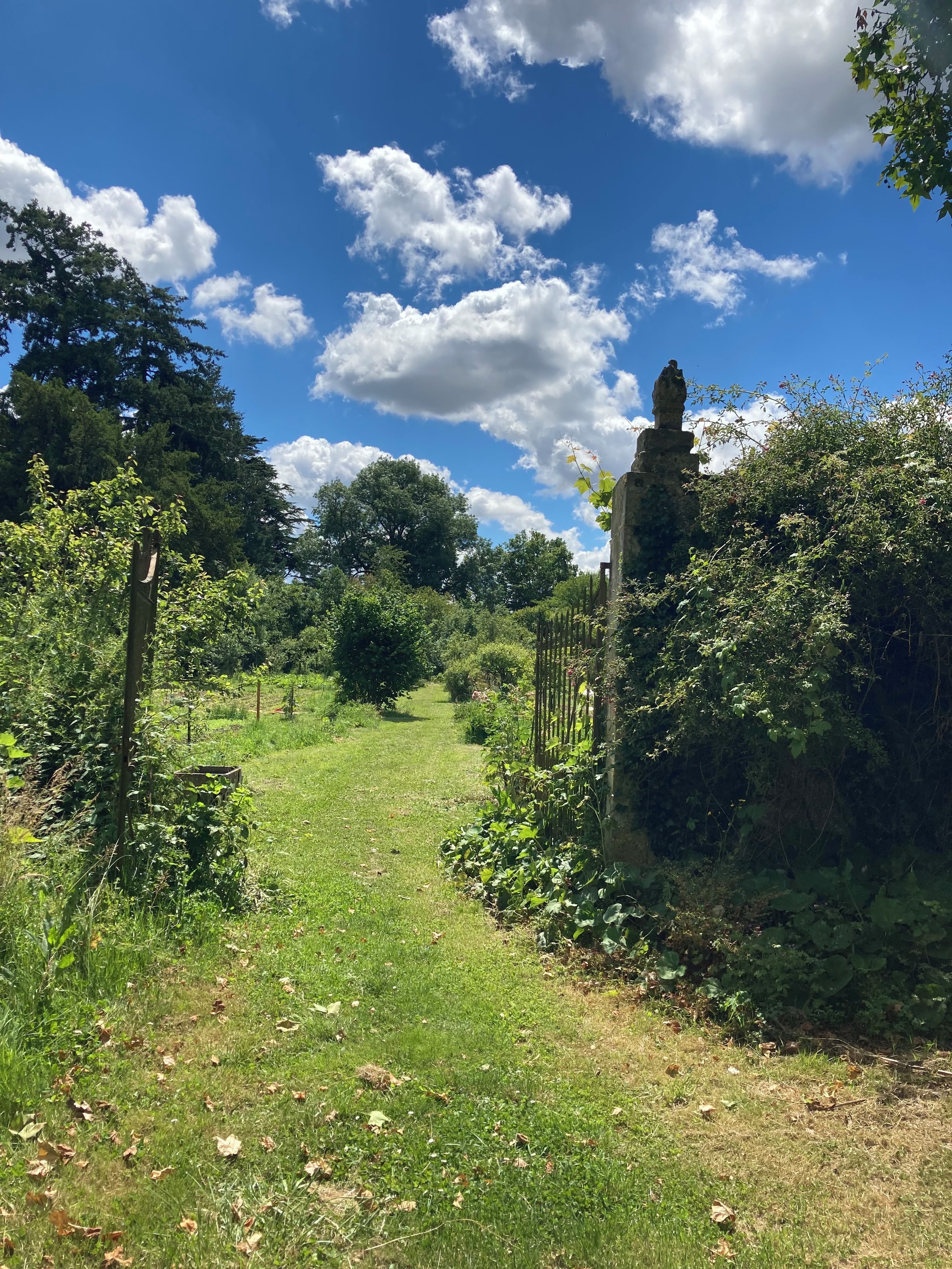 A pathway through a lush garden with a stone structure on the right.