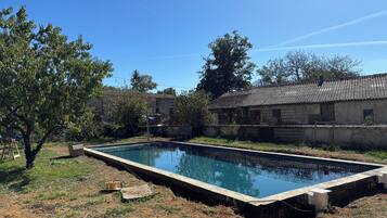 A rectangular swimming pool with a concrete edge, surrounded by a grassy area with a tree and a building in the background.