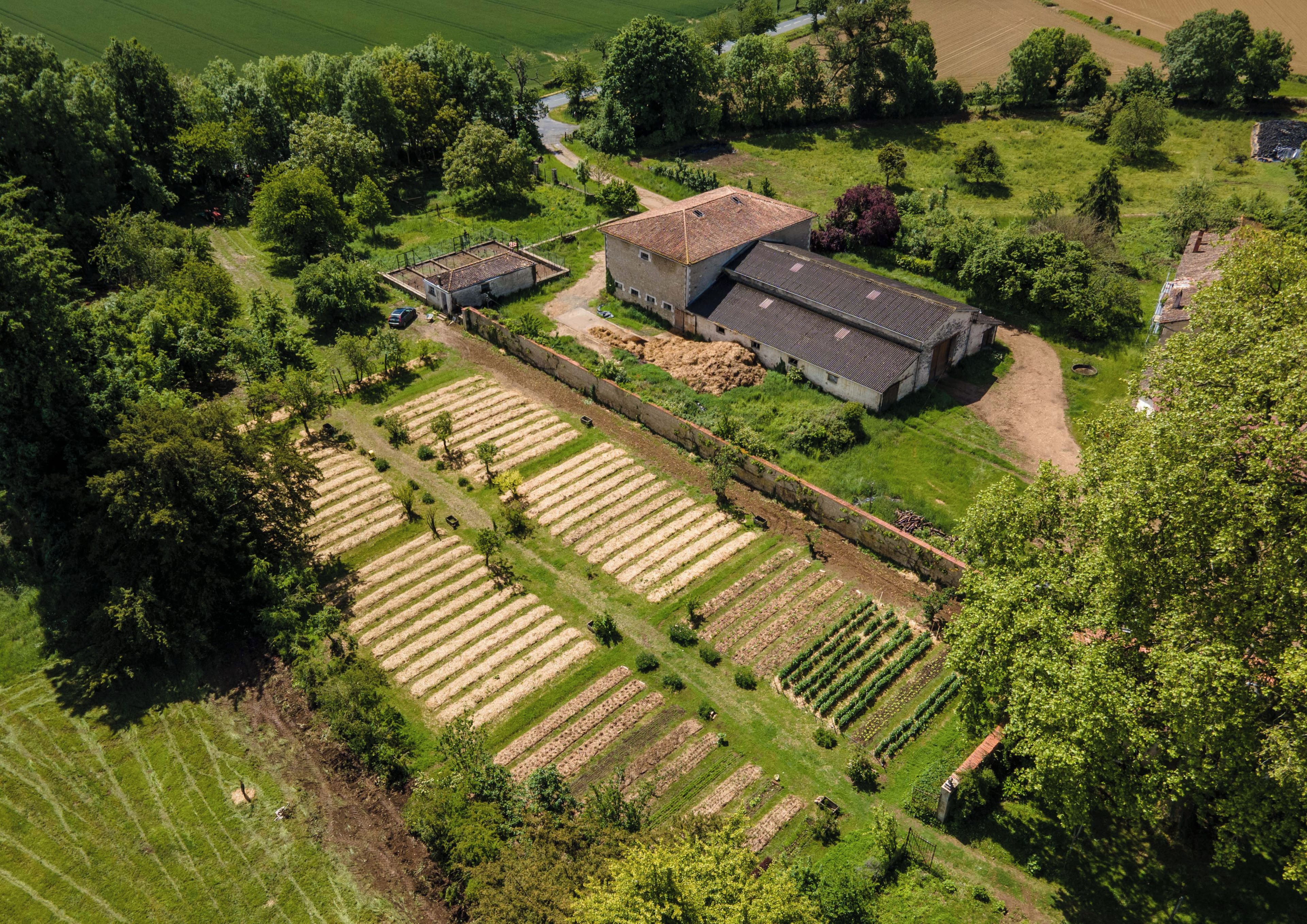 An aerial view of a farm with multiple crop fields, a farmhouse, and surrounding greenery.
