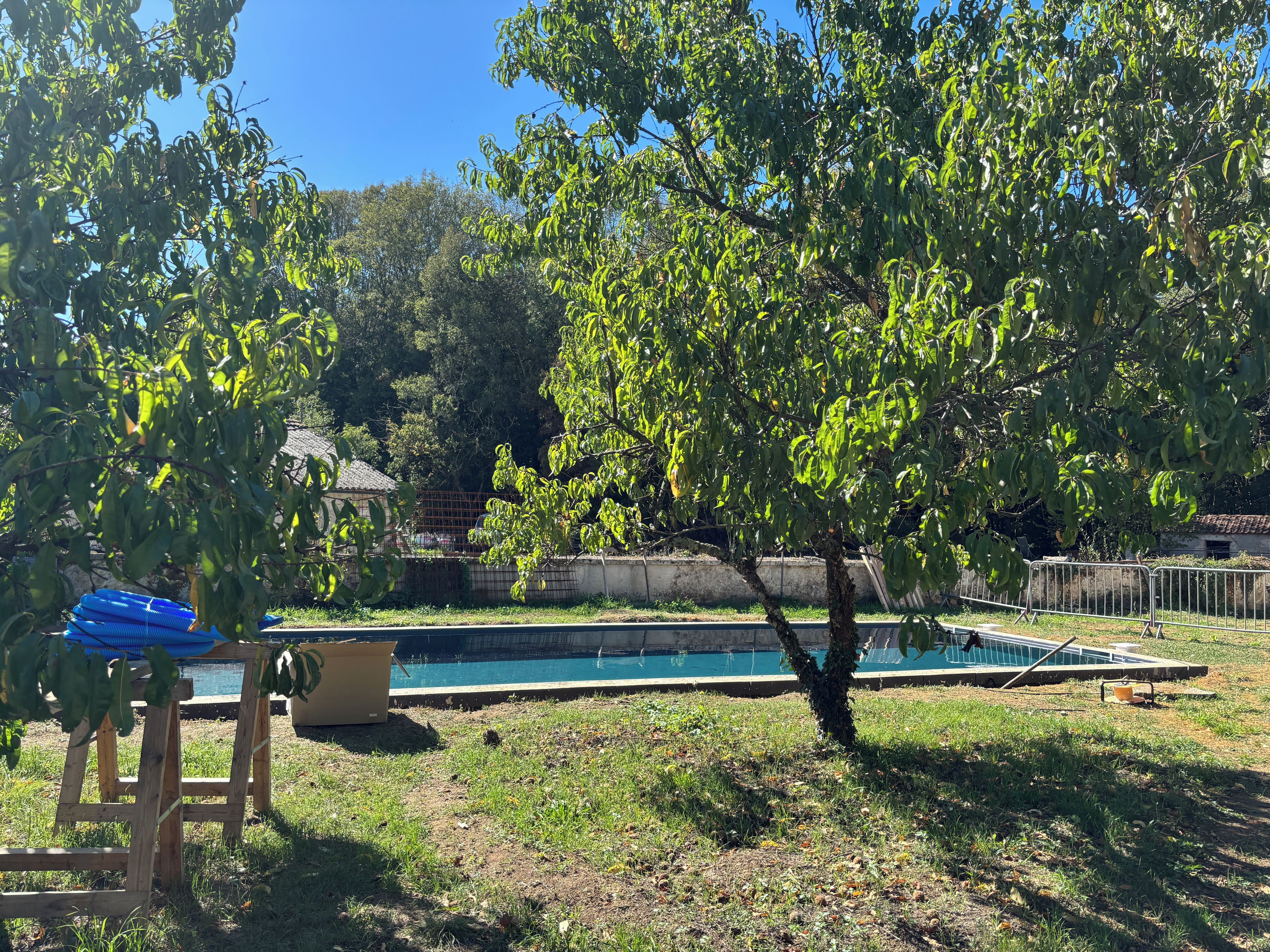 A backyard with a swimming pool, a wooden deck, and a tree.