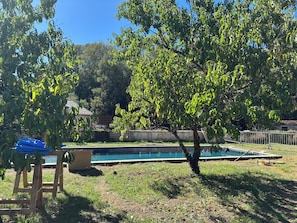 A backyard with a swimming pool, a wooden deck, and a tree. - Large holiday home for 14 with heated pool & 15-acre grounds (Souvigné)