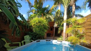 A swimming pool surrounded by tropical plants and wooden walls. - Cabin 'La Cabane Tropicale' with Private Pool, Wi-Fi and Air Conditioning (Saint-Louis)