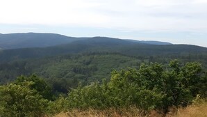 Un paysage montagneux caractérisé par une forêt dense.