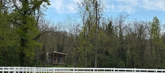 Route 68 Gurasada Park Hostel