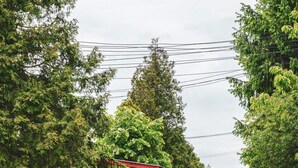 Uma área de estar coberta ao ar livre, com mesas e cadeiras, um caminho de cascalho e árvores.