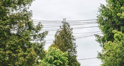 Route 68 Gurasada Park Hostel