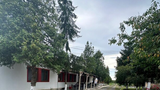 A street with a row of buildings, some with red windows, and trees lining the road. - Route 68 Gurasada Park Hostel (Gurasada)