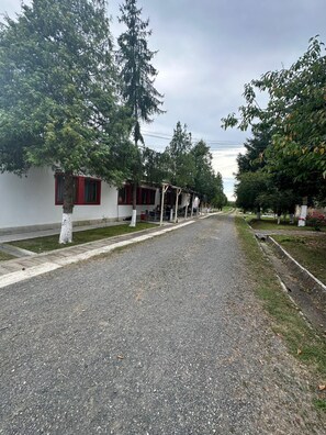 Uma rua com um fileira de edifícios, alguns com janelas vermelhas, e árvores ao longo da estrada.
