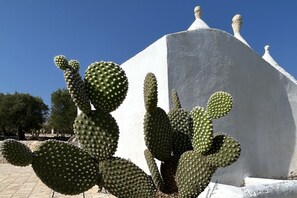 Außendetails