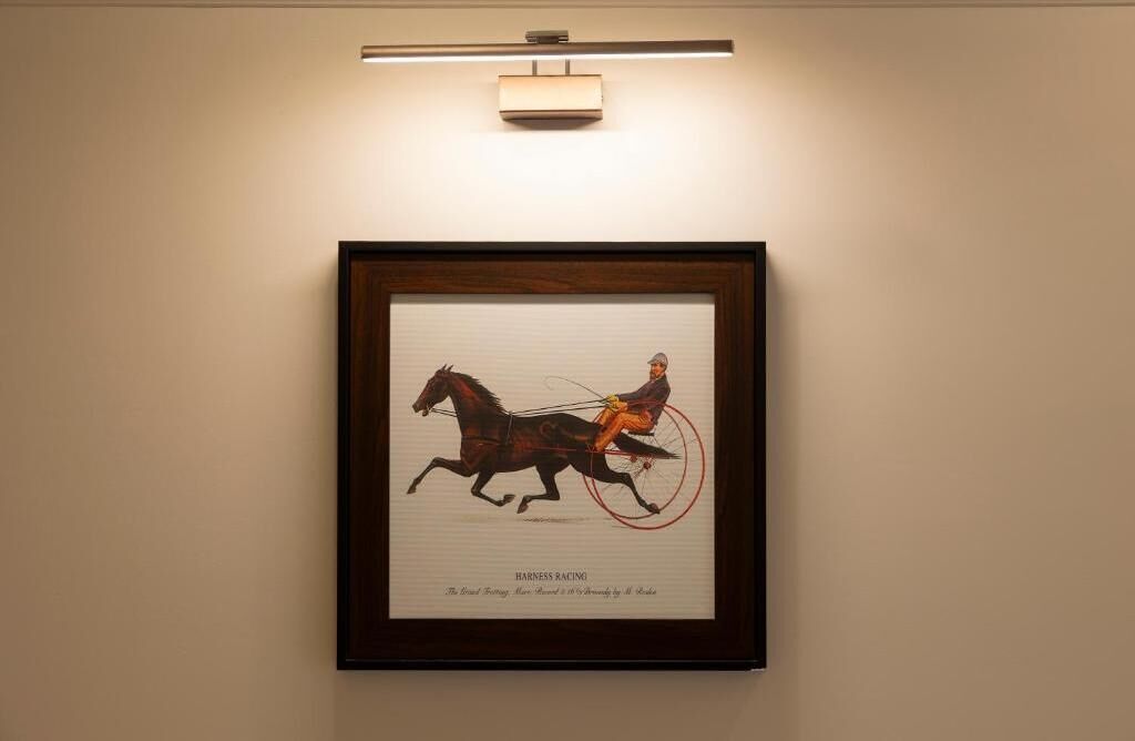 Ein gerahmtes Kunstwerk zeigt ein Pferd mit Reiter auf einer Trabrennbahn.