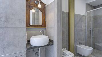 Shower, hair dryer, bidet, towels