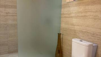 Douche, serviettes fournies, savon, papier de toilette