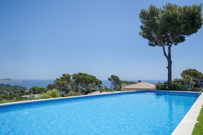Ein Swimmingpool mit freiem Blick auf das Meer und einem großen Baum.