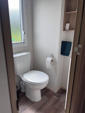 Shower, towels, toilet paper