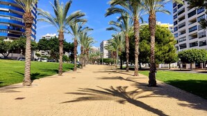 Une promenade dallée bordée de palmiers et de bâtiments modernes.