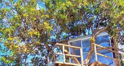 Treehouse Cabin w/ Private Pool, Farm Views & Beach Access