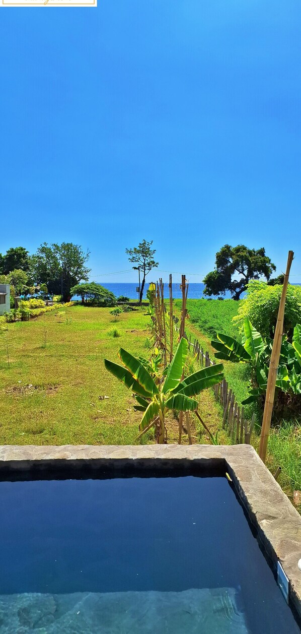 Vista despejada de una piscina con borde de piedra, rodeada de exuberante vegetación y una lejana vista al mar.