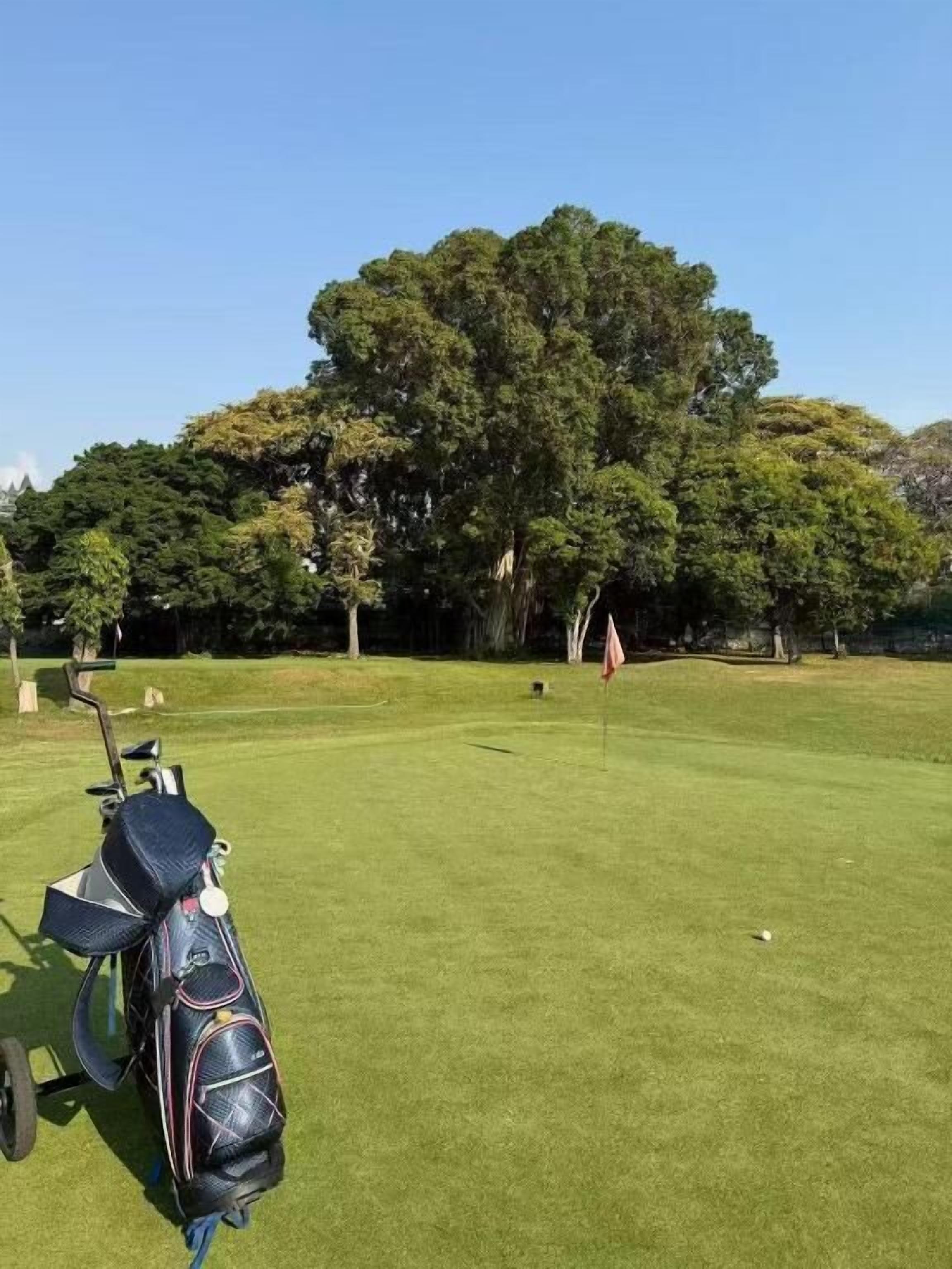 A golf course with a golf bag and cart on the left, a flag on the right, and a large tree in the background.