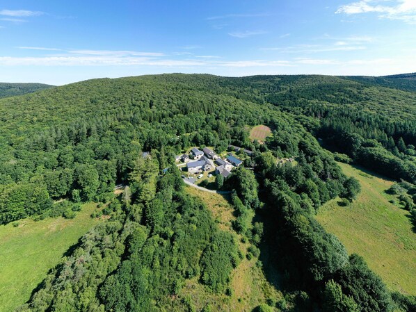 Vue aérienne d’un quartier résidentiel avec des maisons entourées d’une forêt dense, un ciel dégagé et des collines douces en arrière-plan.