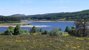 Et naturligt landskab med en sø, skovklædte bakker og vindmøller i det fjerne.