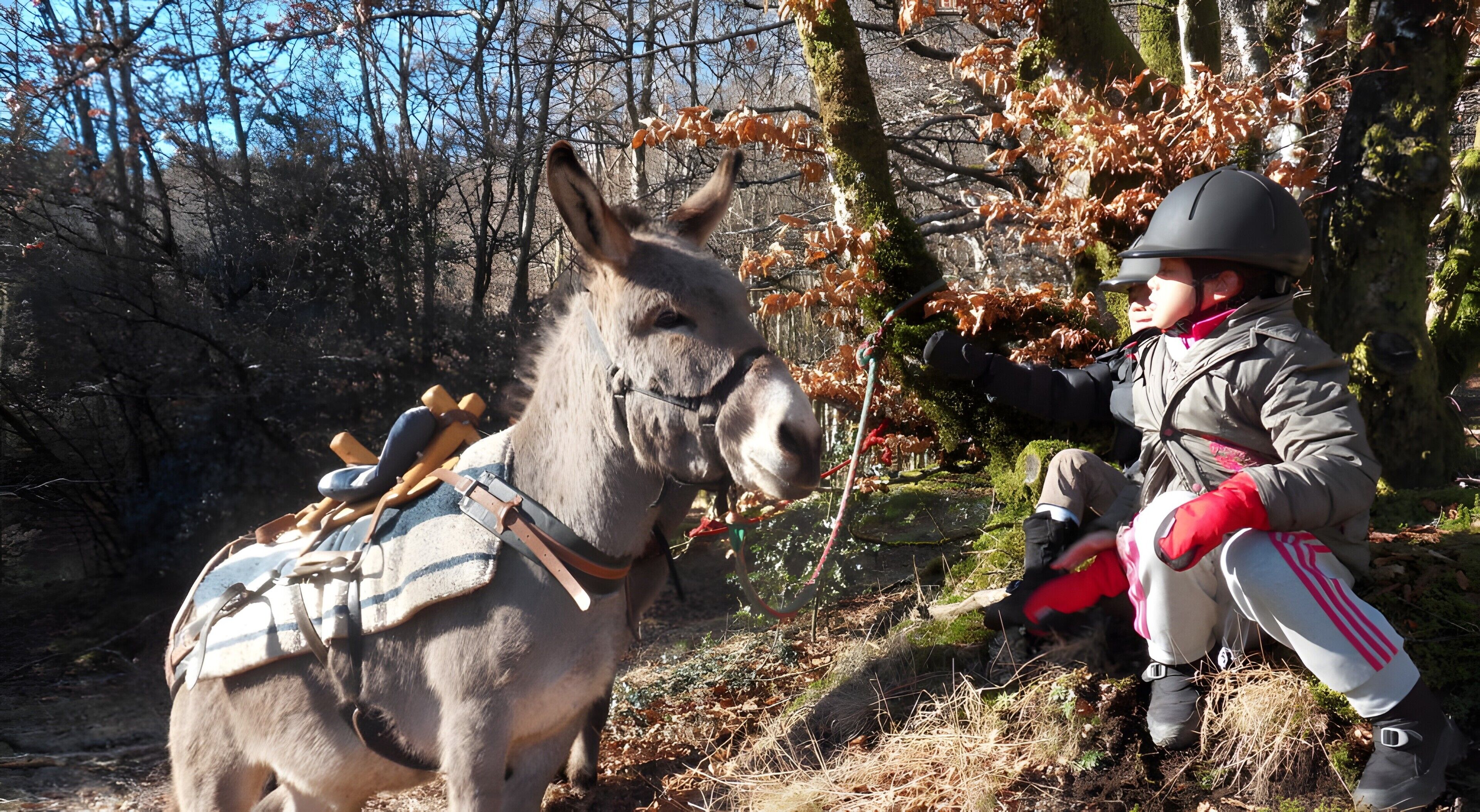 Eine Person mit einem Esel in bewaldeter Landschaft.