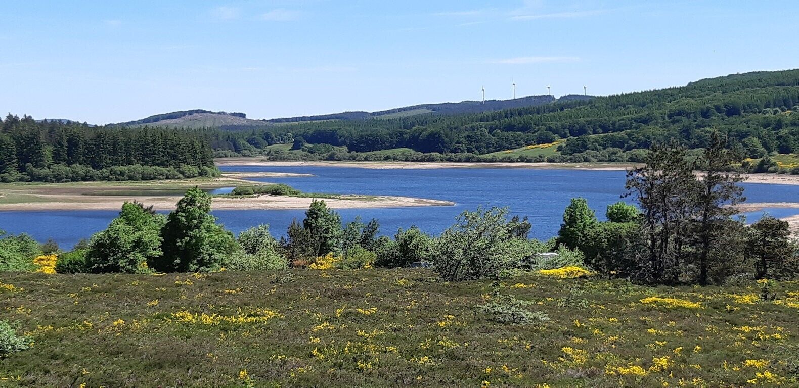 Un paysage naturel comprenant un lac, des collines boisées et, au loin, des éoliennes.